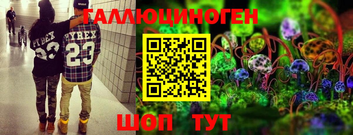 Псилоцибиновые грибы GOLDEN TEACHER Златоуст