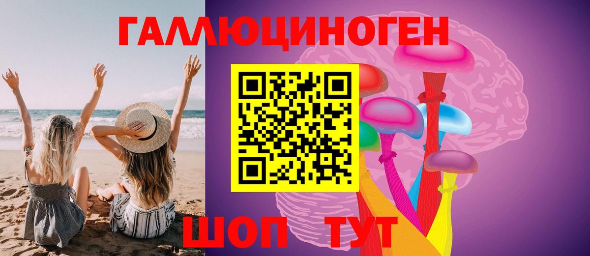 Златоуст  Псилоцибиновые грибы мухоморы  Вход с VPN 